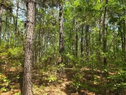 00 Bears Bluff #Lot C, Wadmalaw Island, SC 29487 - #2