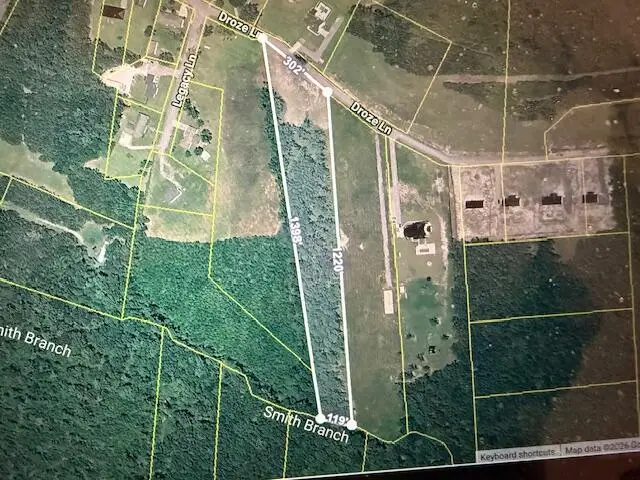 230 Droze Lane, Summerville, SC 29486 - #1