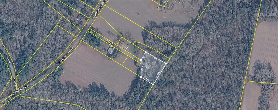 130 Lees Drive, Reevesville, SC 29471 - #2