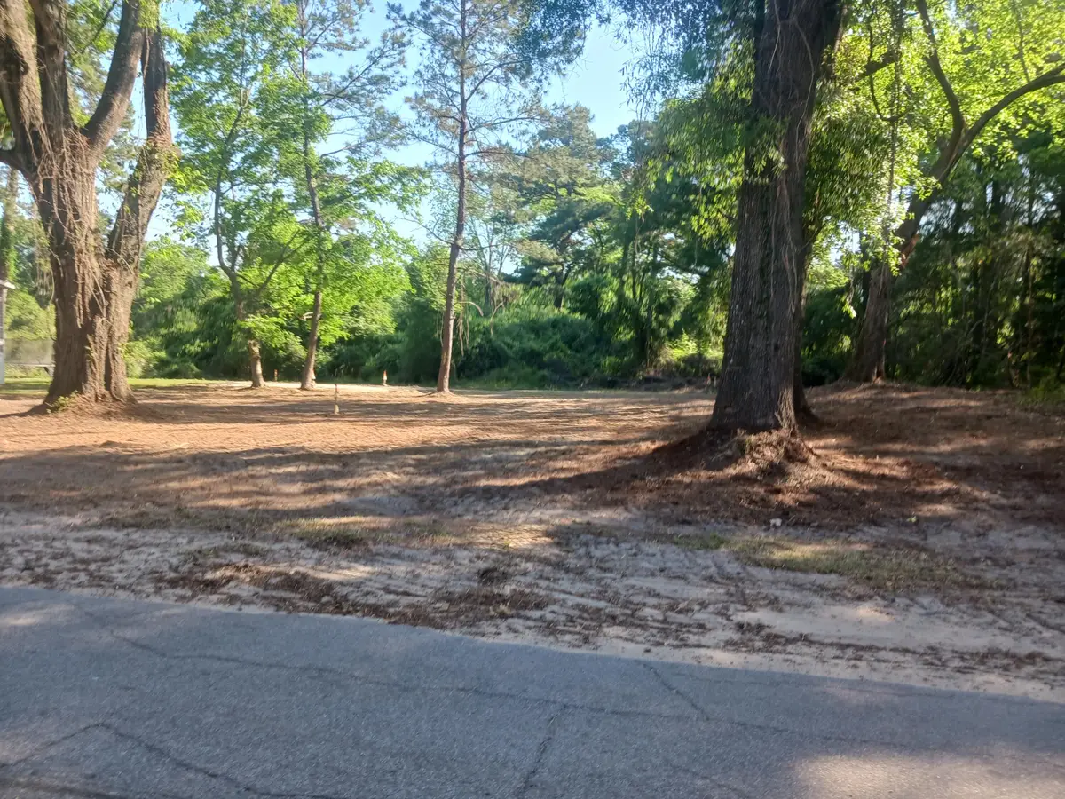 Address Withheld By Seller, Eutawville, SC 29048 - #1