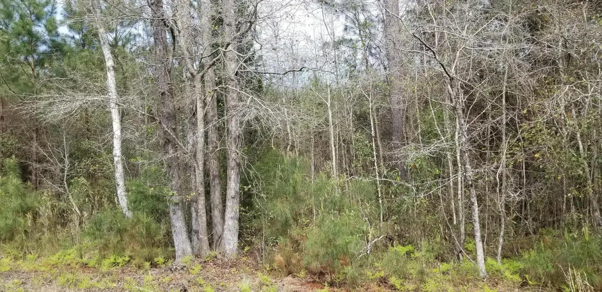 00 Randolph Drive, Smoaks, SC 29481 - #1