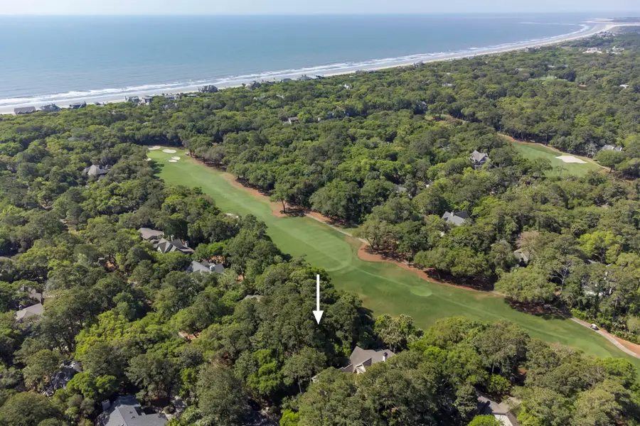 386 Green Winged Teal Road, Kiawah Island, SC 29455 - #2