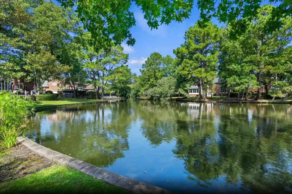 3168 Stanyarne Drive, Charleston, SC 29414 - #1