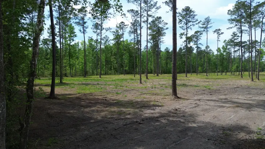 4 Highway 27, Holly Hill, SC 29059 - #2