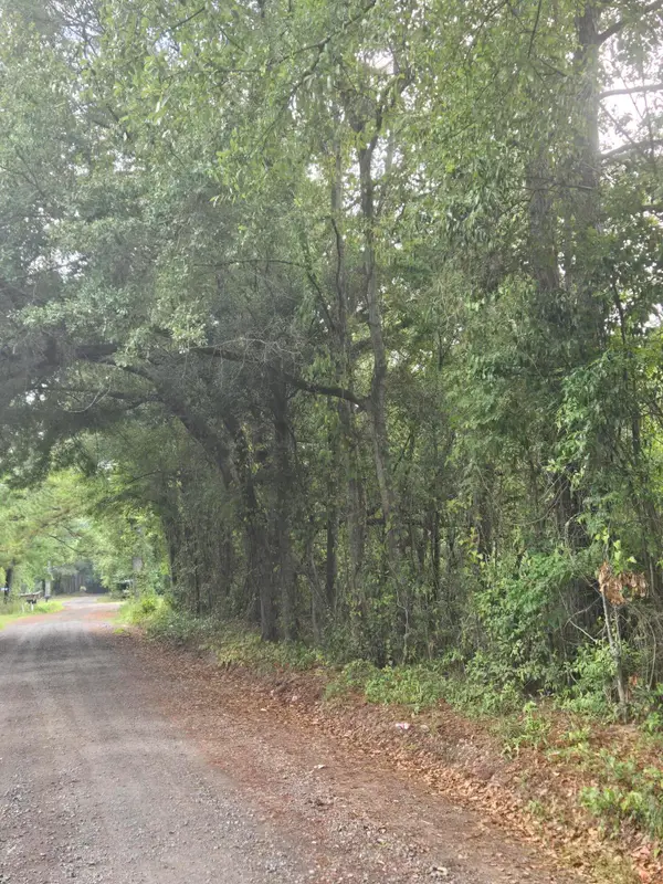 Lot 2 Rodenberry Road, Cross, SC 29436