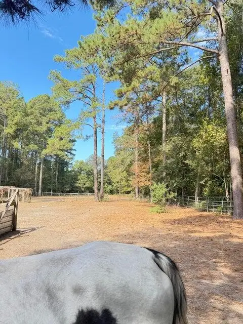 696 Bedon Road, Walterboro, SC 29488 - #2