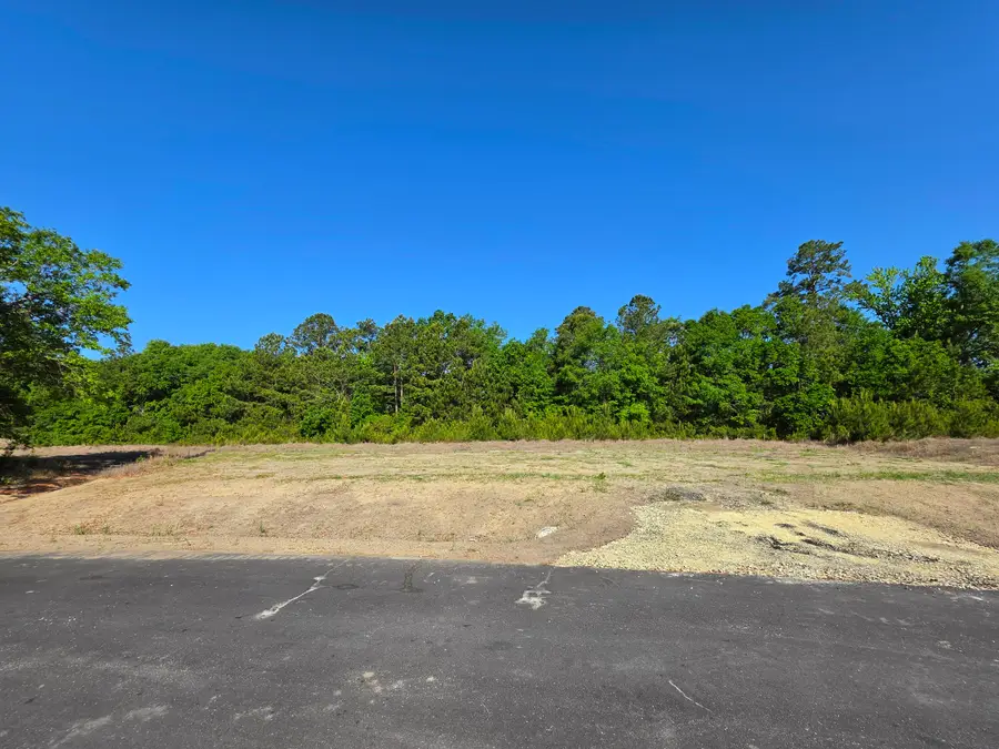 2 Harvest Moon Lane #2, McClellanville, SC 29458 - #3