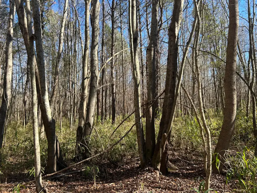 0 Highway 261, Kingstree, SC 29556 - #3