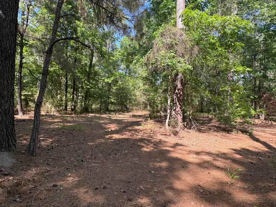 00 Clubhouse Road, Ravenel, SC 29470 - #3