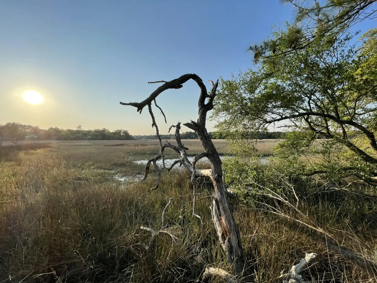 8468 Chisolm Plantation Road, Edisto Island, SC 29438 - #1