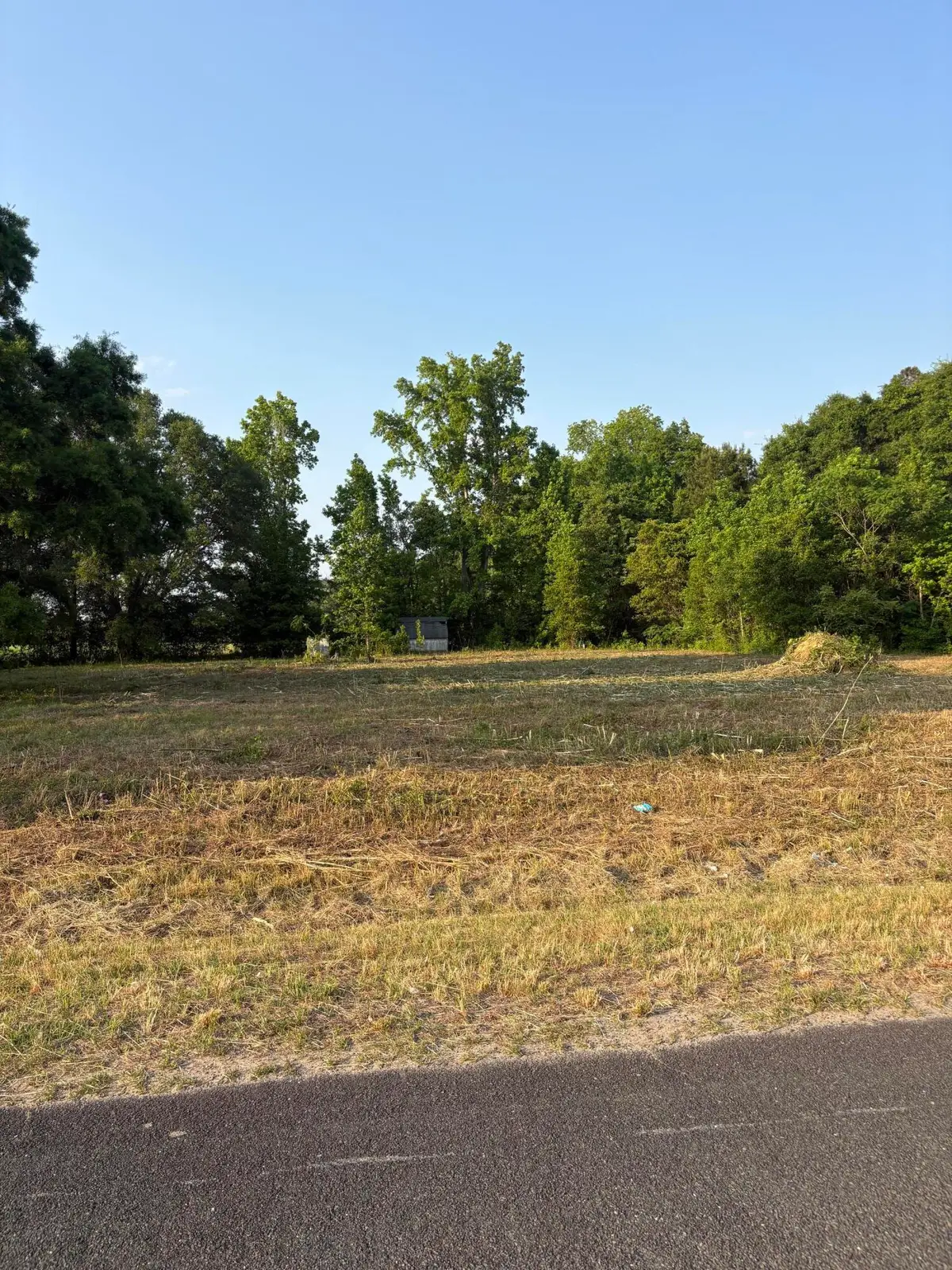 419 Old Bell Road, Saint George, SC 29477 - #1