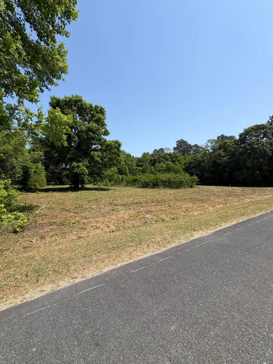 419 Old Bell Road, Saint George, SC 29477 - #3