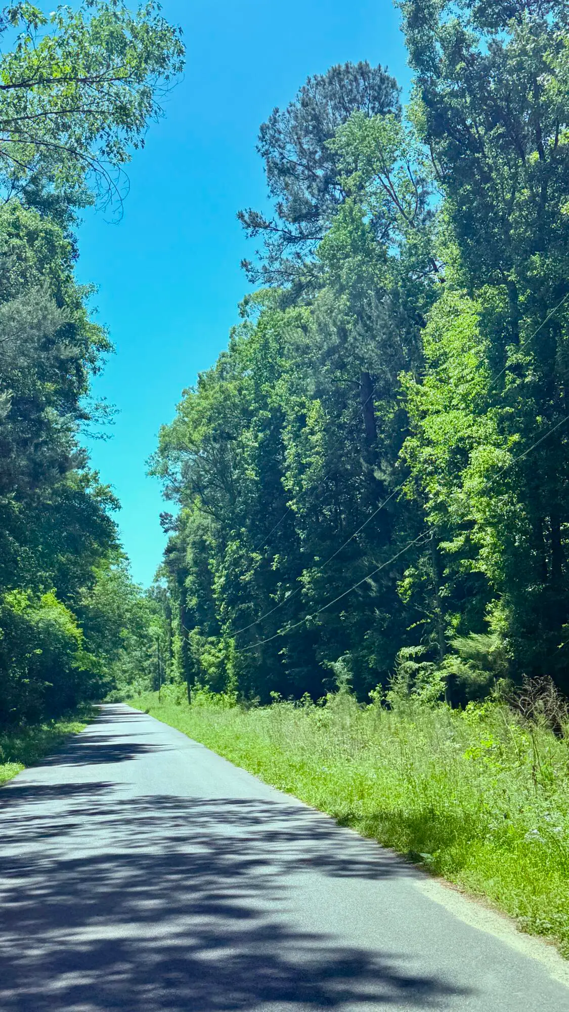 00 Weir Street, Summerville, SC 29483 - #1