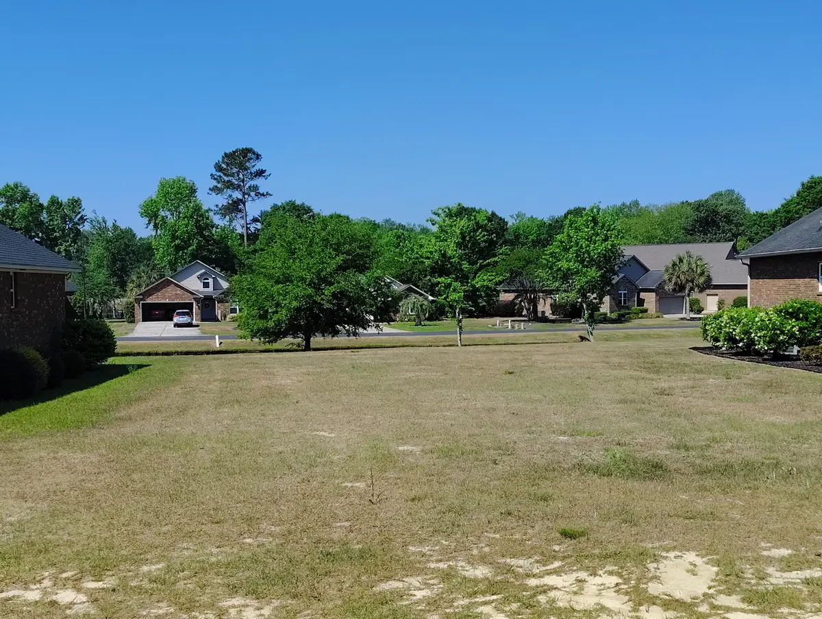 510 Oak Hill Drive, Manning, SC 29102 - #1