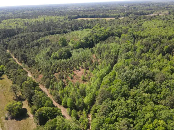 0 Cottage Lane, Saint Stephen, SC 29479