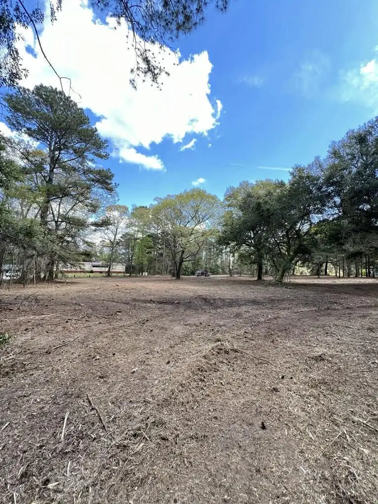 0 Roberta Drive, Eutawville, SC 29048 - #1