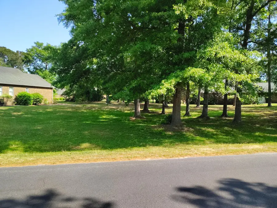 218 Ridge Lake Drive, Manning, SC 29102 - #2