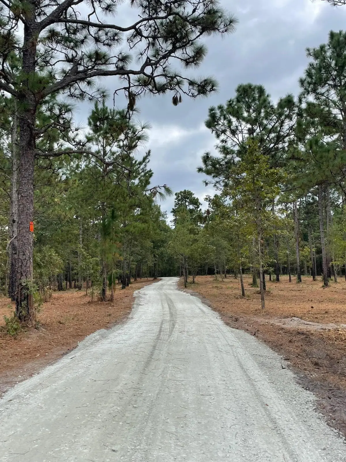 2 Trojan Road, Cross, SC 29436 - #1