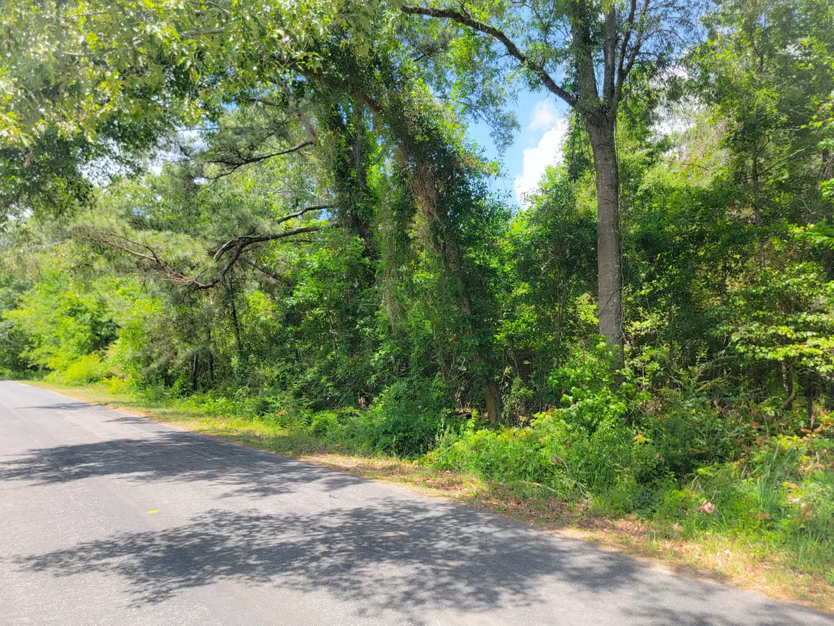 0000 Murraysville Road, Moncks Corner, SC 29461 - #1