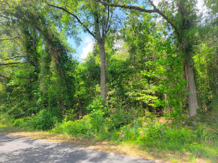 0000 Murraysville Road, Moncks Corner, SC 29461 - #2