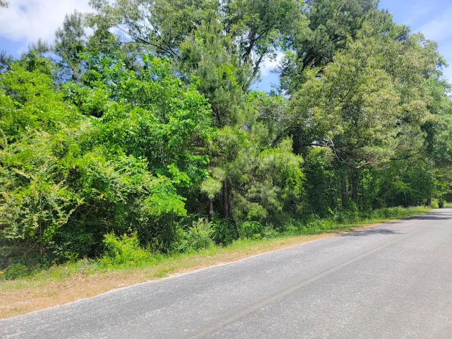 0000 Murraysville Road, Moncks Corner, SC 29461 - #3