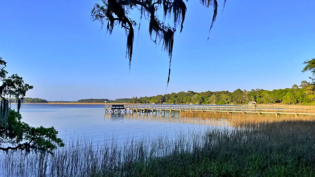 1828 Leadenwah Drive, Wadmalaw Island, SC 29487 - #1