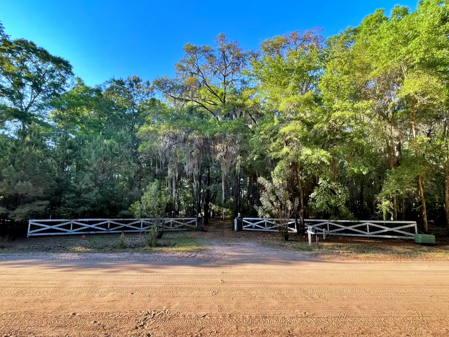 1828 Leadenwah Drive, Wadmalaw Island, SC 29487 - #3