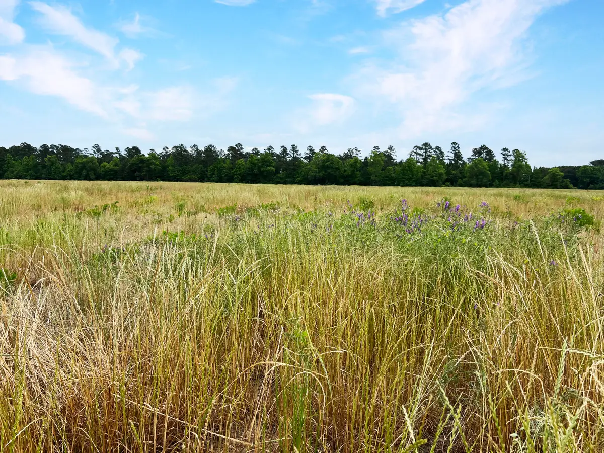 1 Us-15, Saint George, SC 29477 - #1