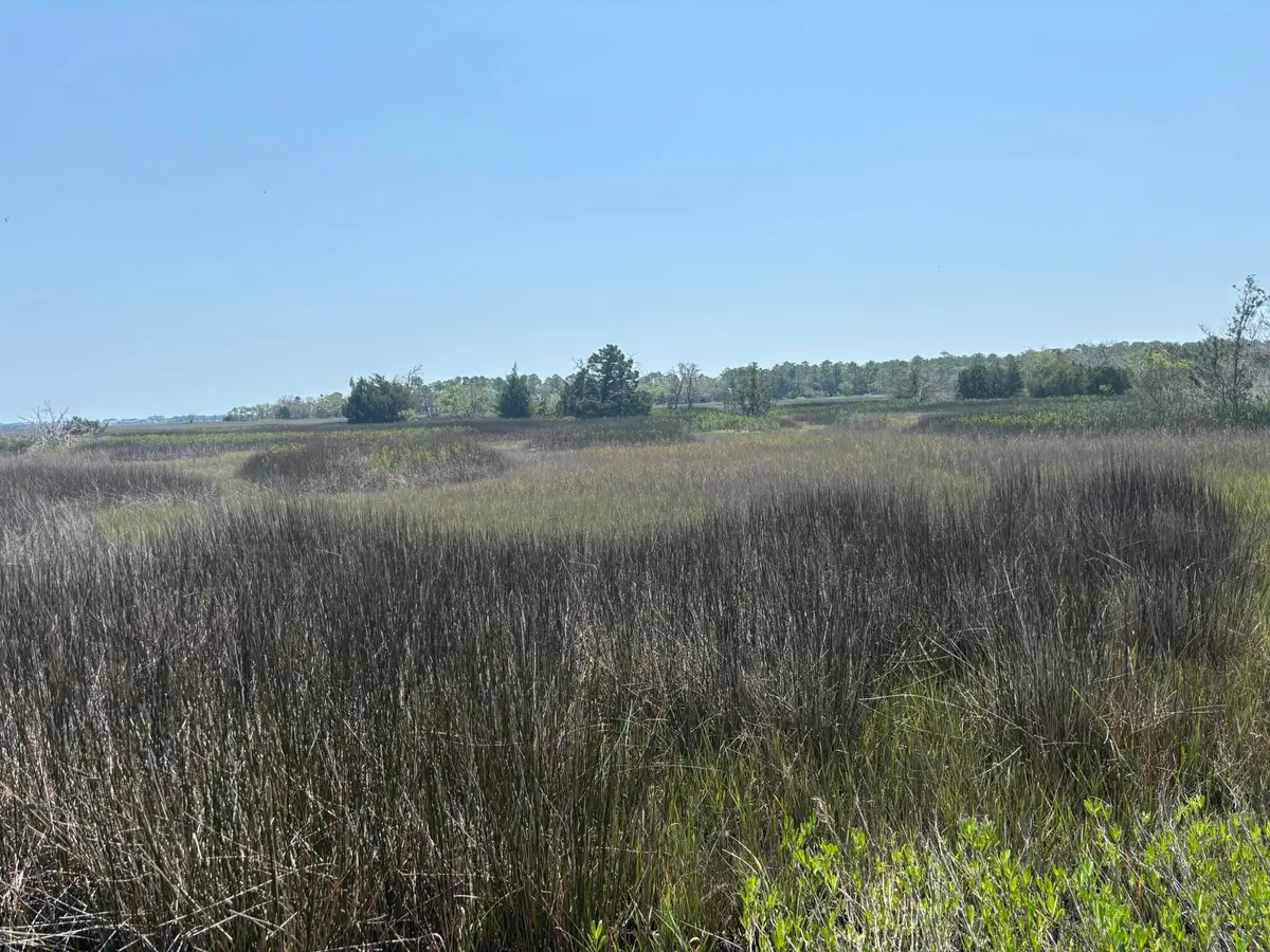 2035 Sol Legare Road, Charleston, SC 29412 - #1