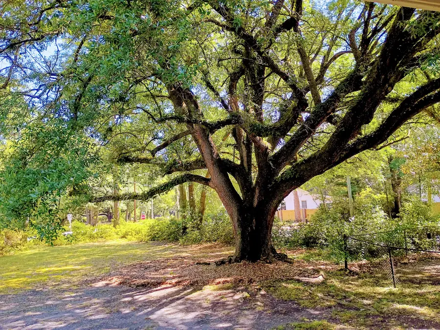 100 Old Country Club Road, Summerville, SC 29483 - #2