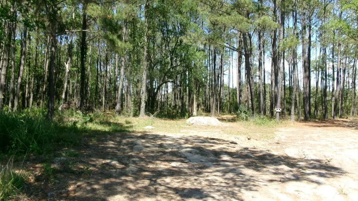 1108 Saint Thomas Island Drive, Wando, SC 29492 - #1