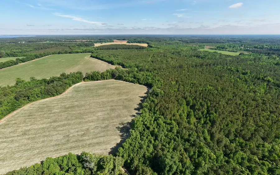 155-Ac Westberry Drive, Vance, SC 29163 - #3