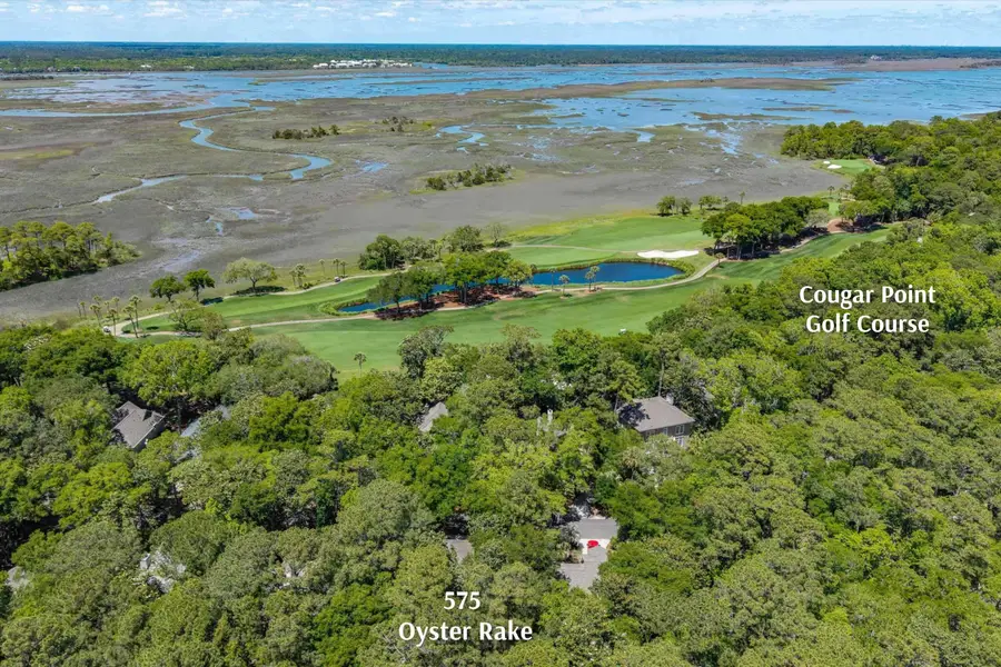 575 Oyster Rake, Kiawah Island, SC 29455 - #2