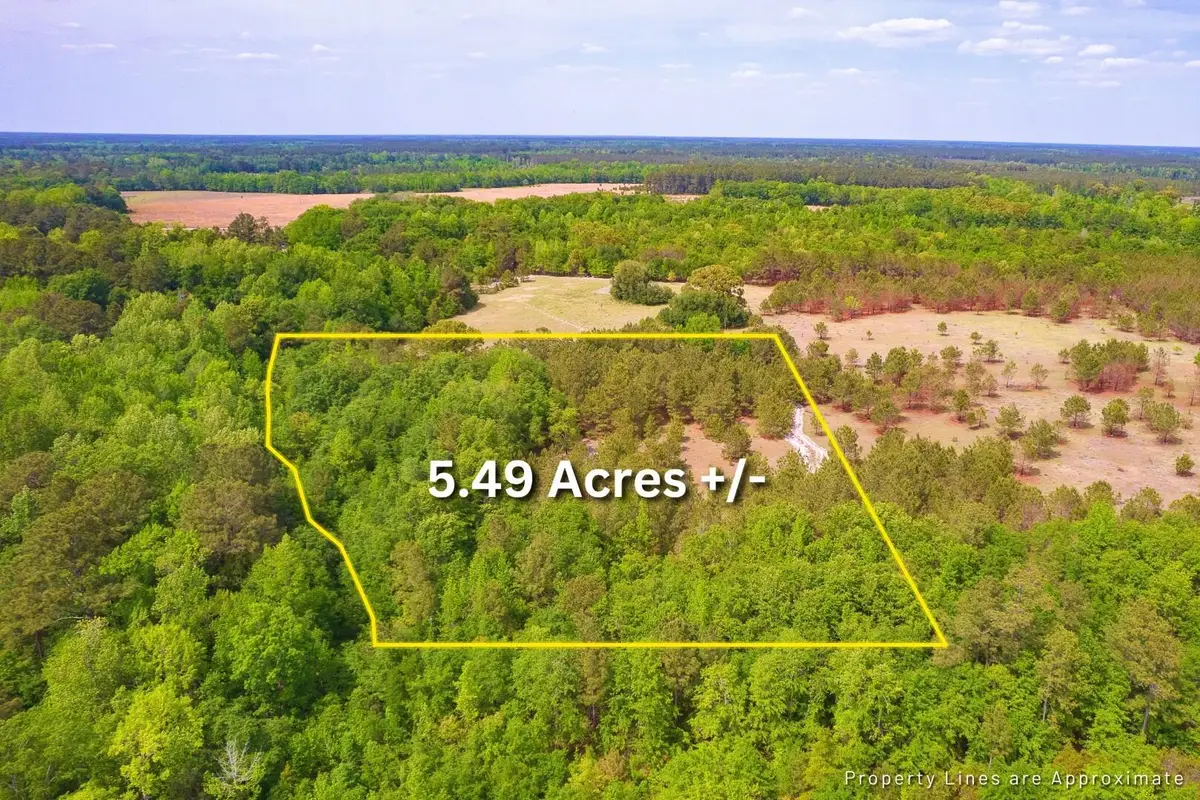 06 Pompey Road, Manning, SC 29102 - #1