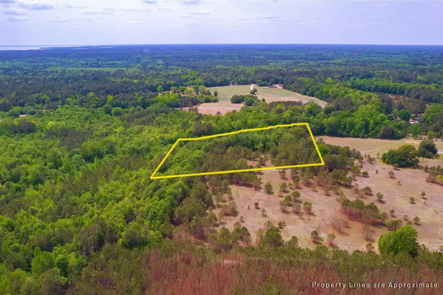 06 Pompey Road, Manning, SC 29102 - #2