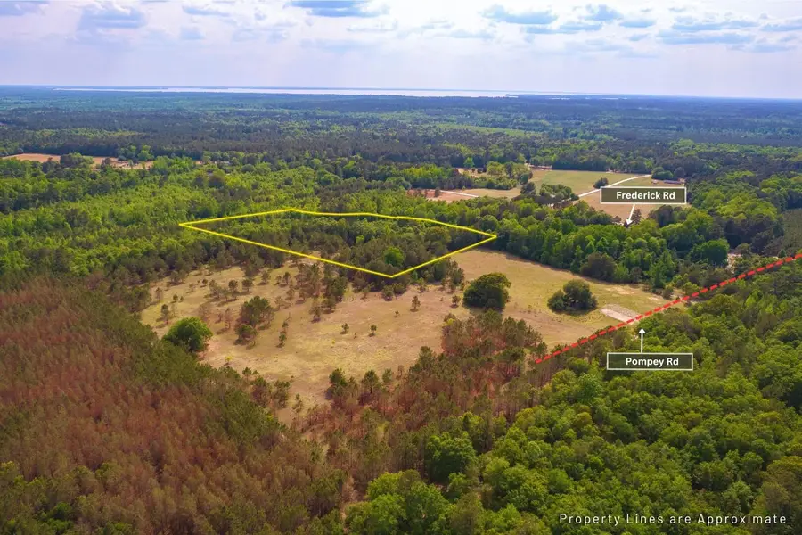 06 Pompey Road, Manning, SC 29102 - #3
