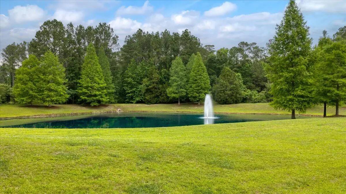 1205 Red Buckeye Court, Moncks Corner, SC 29461 - #1