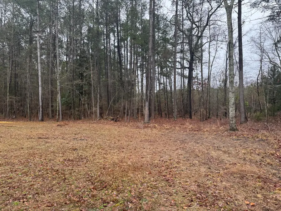 165 Ash Hill Drive, Eutawville, SC 29048 - #2