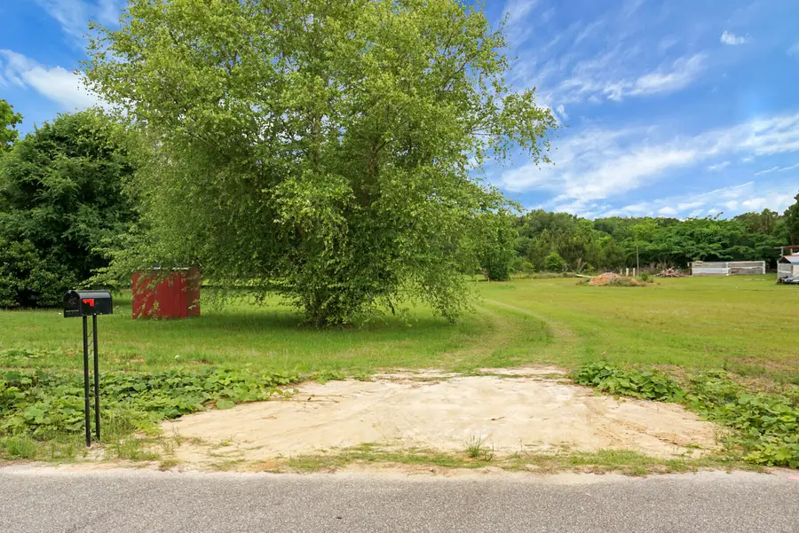 306 Michelle Street, Eutawville, SC 29048 - #2