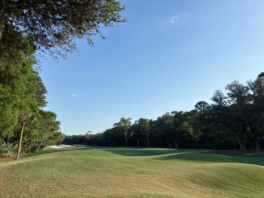 386 Green Winged Teal Road, Kiawah Island, SC 29455 - #2