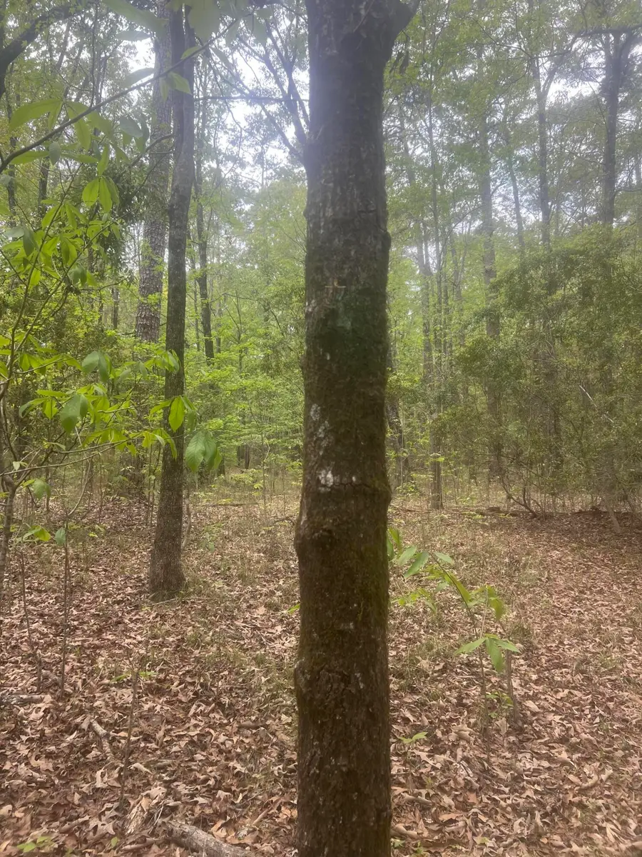 0 S Carolina 45, Saint Stephen, SC 29479 - #3