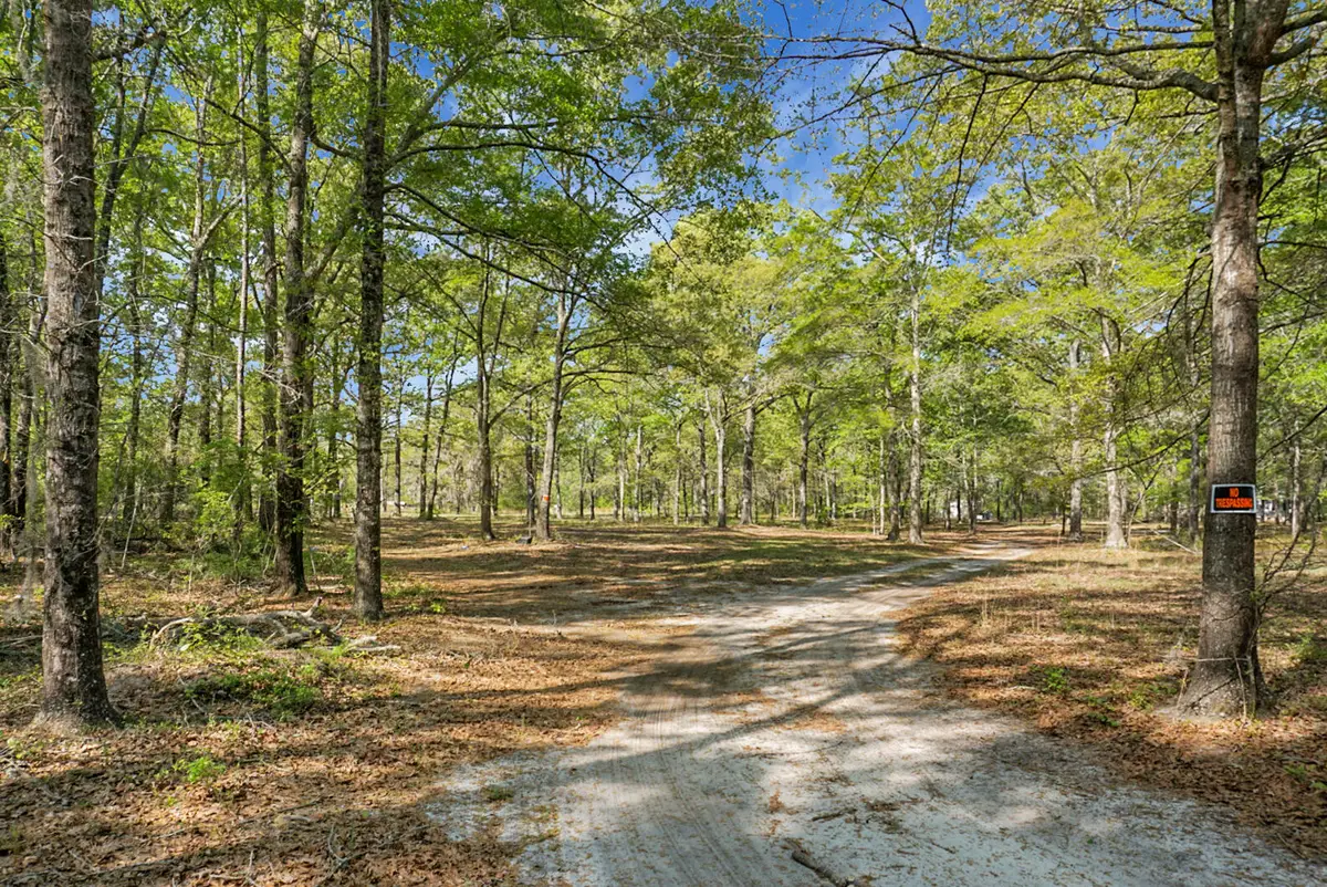 202 Belmont Drive, Walterboro, SC 29488 - #1