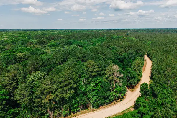 0 Parnel Road, Cope, SC 29038
