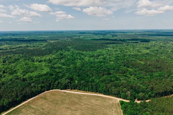 1 Parnel Road, Cope, SC 29038