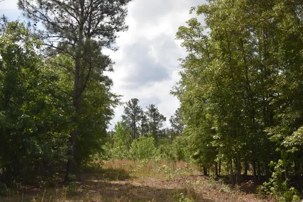 Tbd Hawthorne Drive, Kingstree, SC 29556