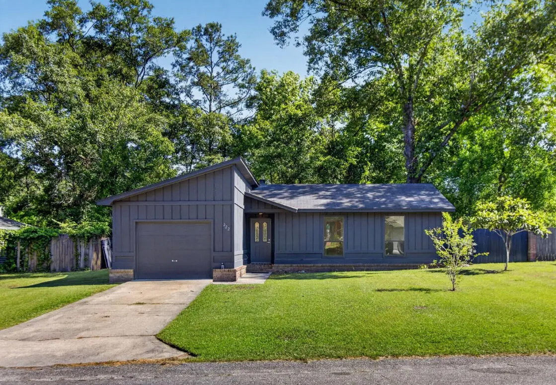 222 Braly Drive, Summerville, SC 29485 - #1