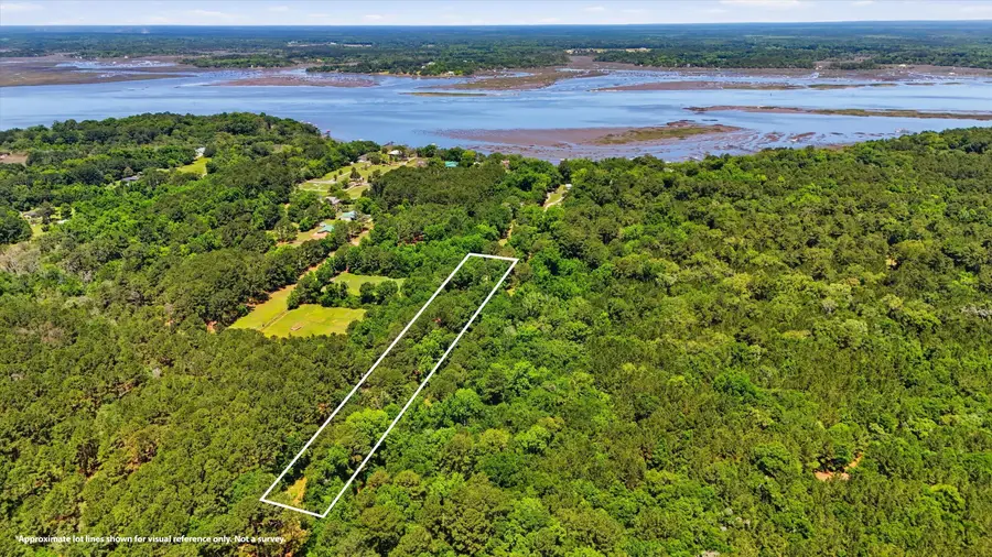 5755 Nutall Road, Wadmalaw Island, SC 29487 - #3