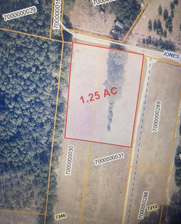 0 Jones Road, Awendaw, SC 29429