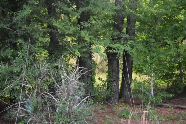 2214 Mc Kinnon Dove Drive, Marion, SC 29571