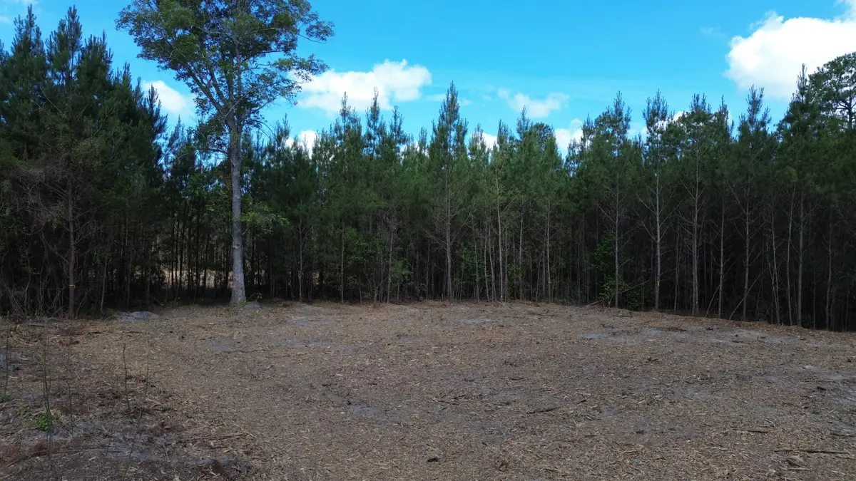 4 Highway 311, Cross, SC 29436 - #1